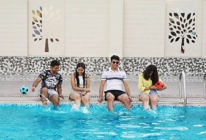 בית מלון כפרי Treehouse Sunrise Resort & Caravan Park