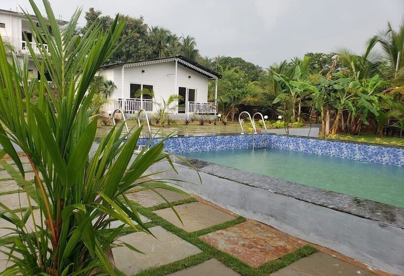 ホテル White Truffle Resort