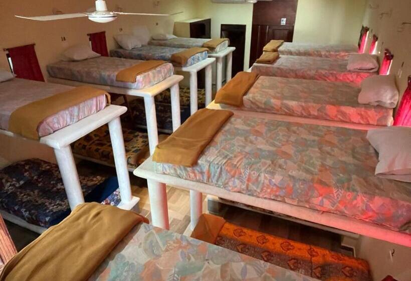 فندق Y Hostal Nojoch Che