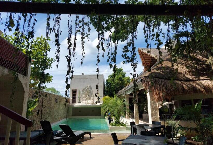 فندق Y Hostal Nojoch Che