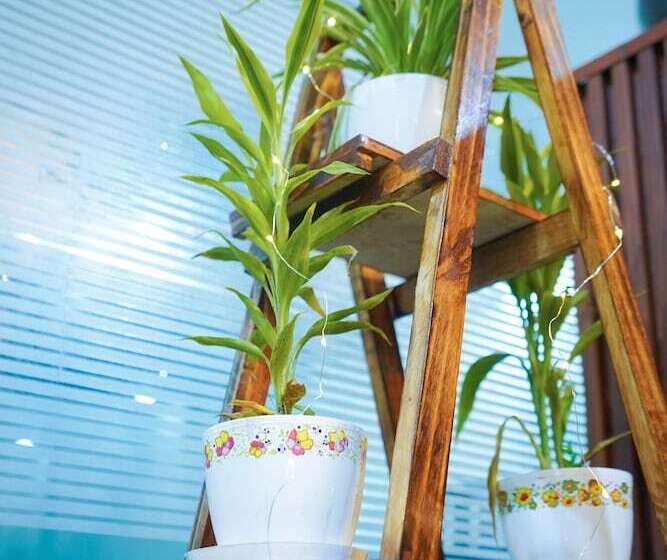 Lime Tree Hotel Near 32nd Milestone