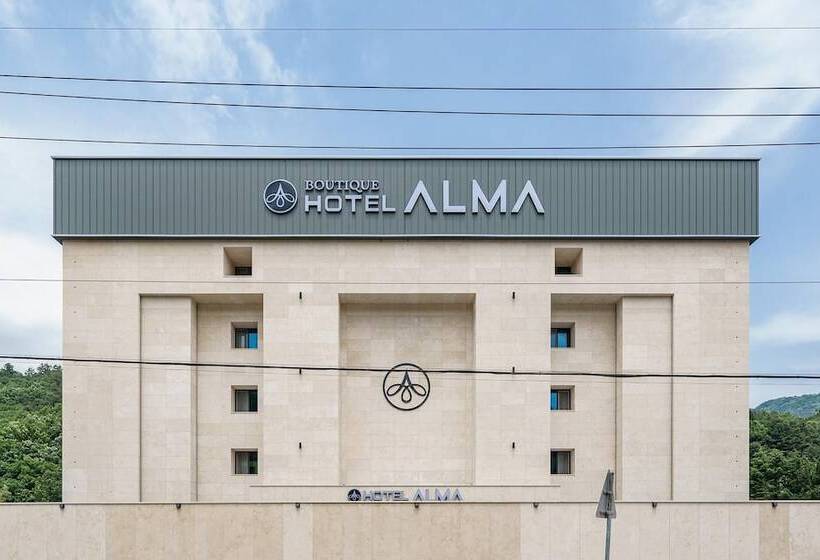 مُتل Pocheo Alma