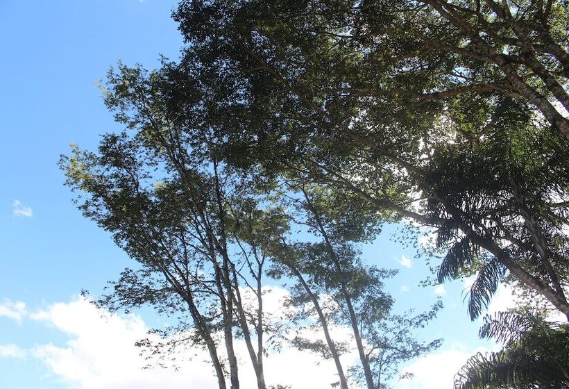 Paradies Hotel Express