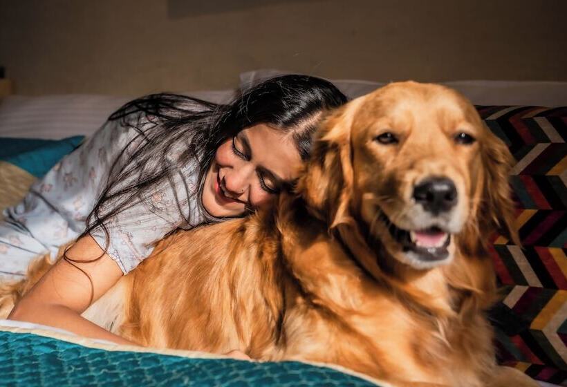 استراحتگاه Parijat Private Pool Villa 1, 2 And 3 Bhk