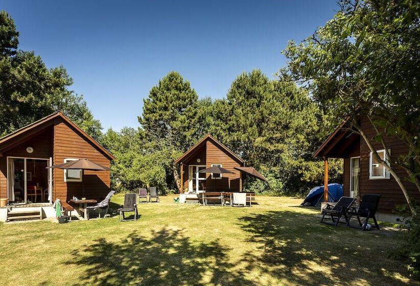 Курорт Rødvig Ferieby