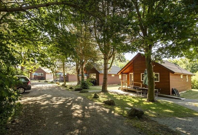 Курорт Rødvig Ferieby