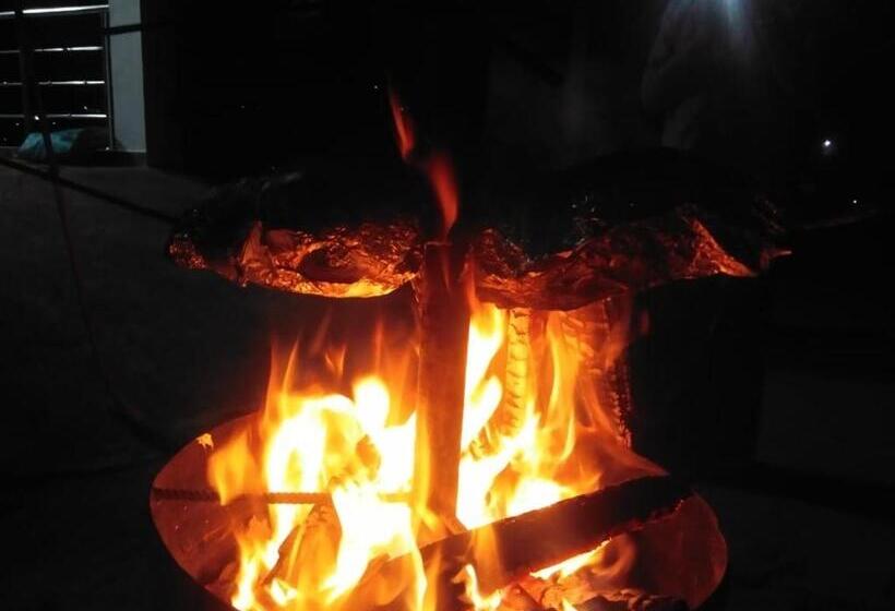 ベッドアンドブレックファースト Cukoo S Nest