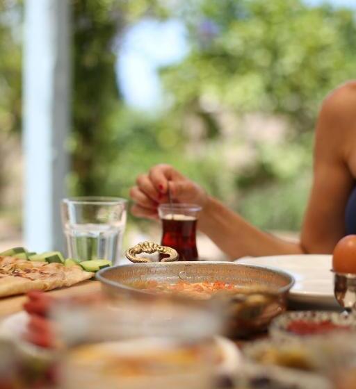 مبيت وإفطار Litri Butik Otel