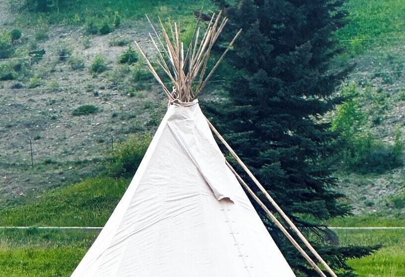 Glacier Grizzly Resort   Glamping