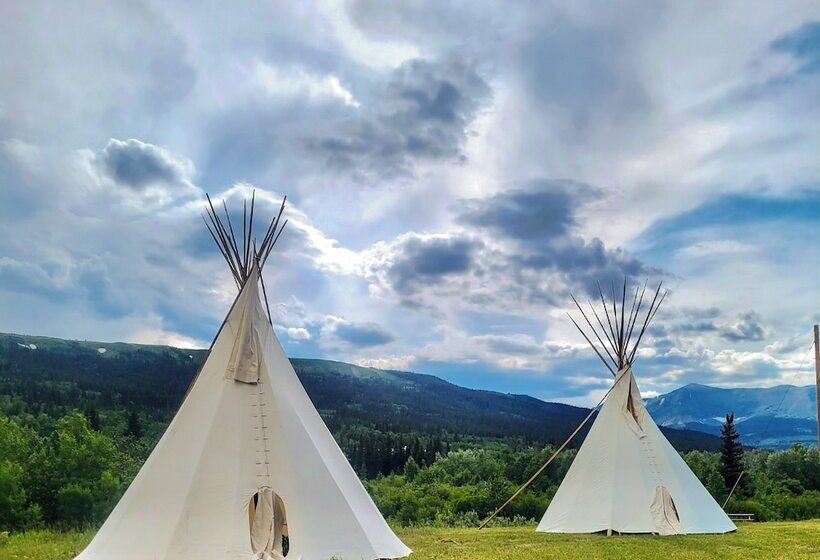 Glacier Grizzly Resort   Glamping