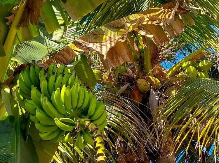 Хостел Pousada Bem Bem Búzios