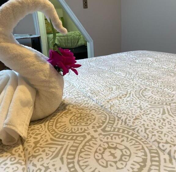 فندق Katarsy´s Hostel