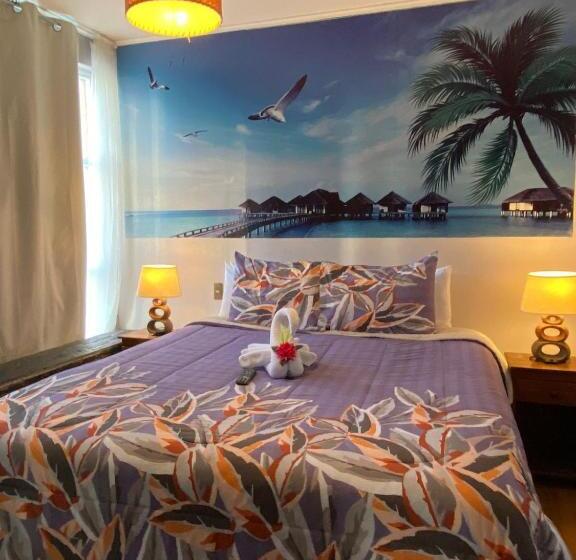 فندق Katarsy´s Hostel