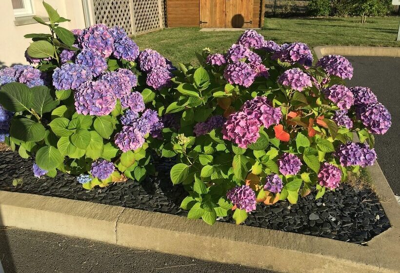 فندق Kyriad Dol De Bretagne