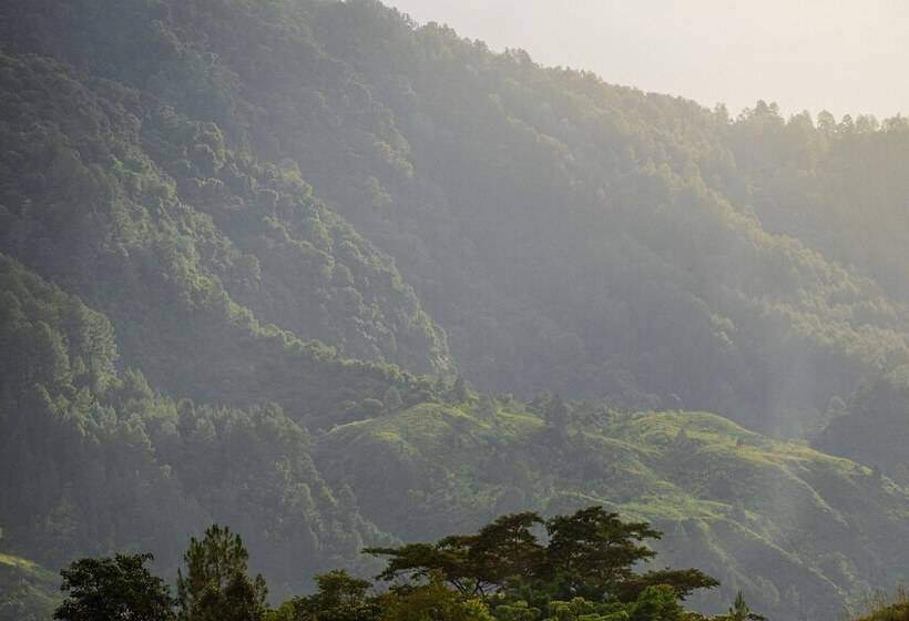 هتل Marianna Resort & Convention Tuktuk Samosir