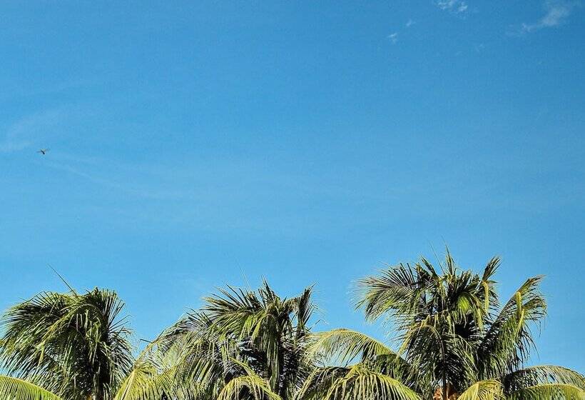 فندق Málaga Managua