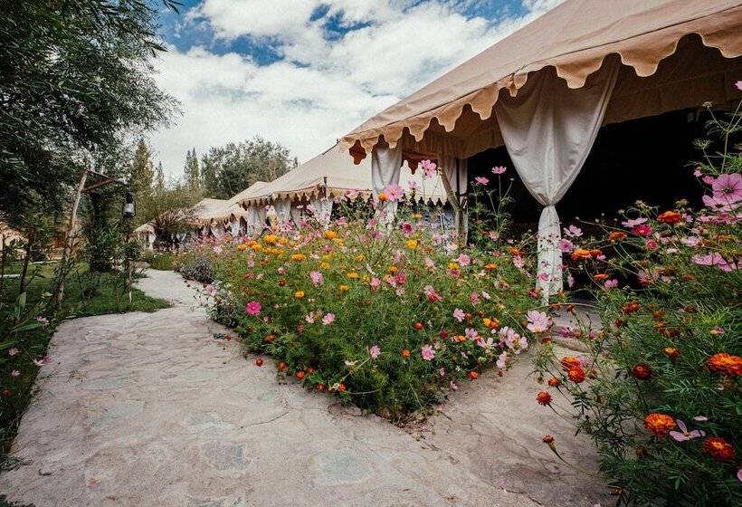 ホテル Nubra Eco Village