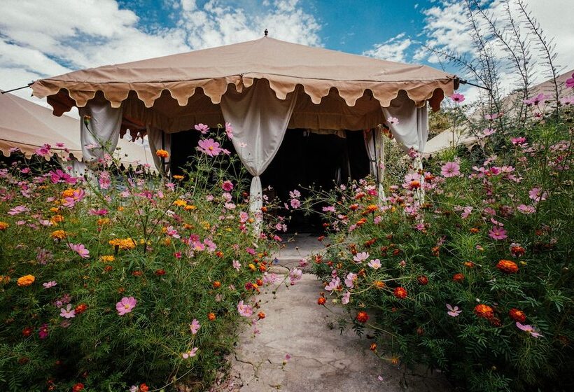 ホテル Nubra Eco Village