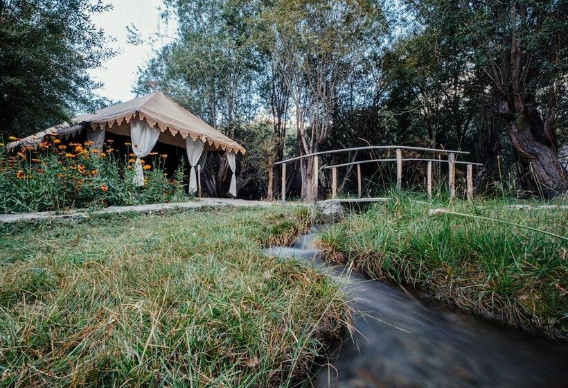 ホテル Nubra Eco Village