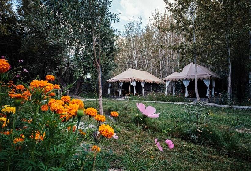 ホテル Nubra Eco Village