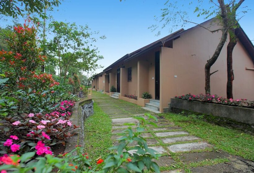 فندق Tea Terrain Resorts & Spa