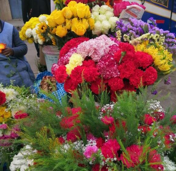 酒店 Urosfood & Titiqaqa Lodge