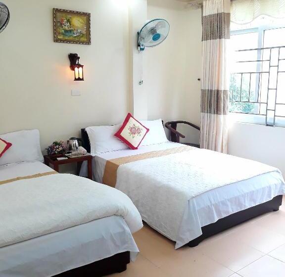 Luxury Cat Ba   Hotel Elite