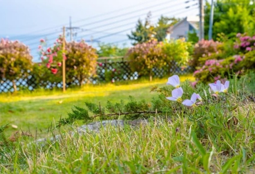Namhae Macaron Pension