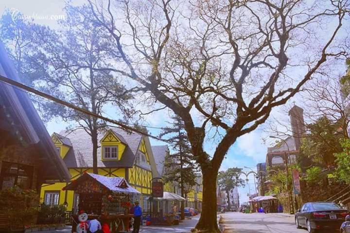 پانسیون An Phú Motel Tam đảo