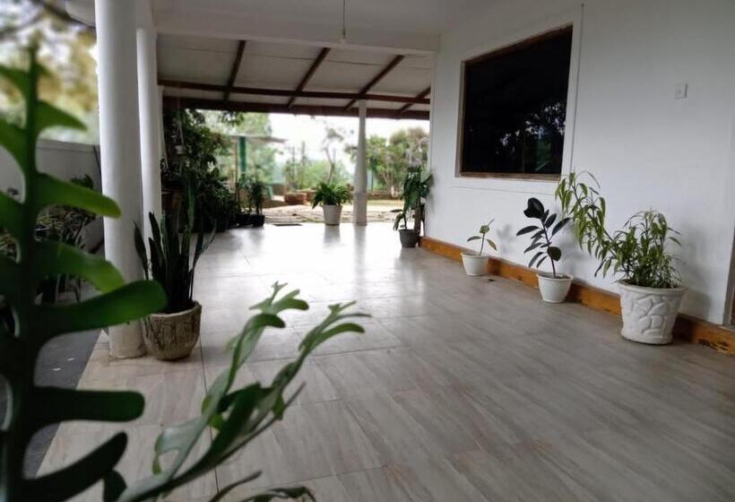 פנסיון Diyathalawa The Mountain Lodge