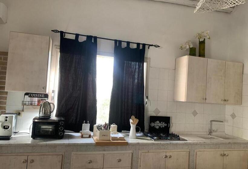 بنسيون Green Garden Oasi