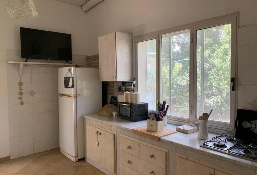 بنسيون Green Garden Oasi