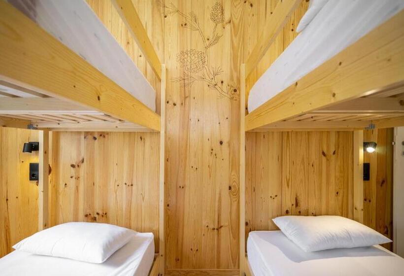 فندق صغير Forest Villas   Guest House