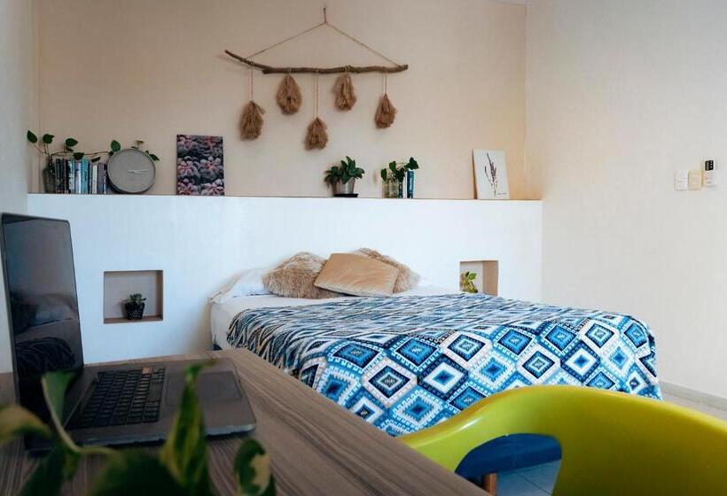 هاستل Hostal Cuca Macuca
