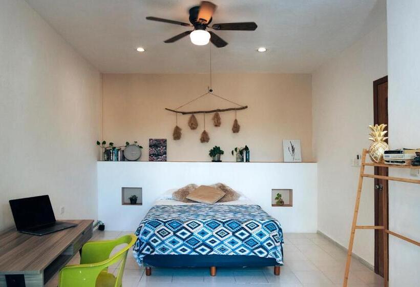 旅馆 Hostal Cuca Macuca