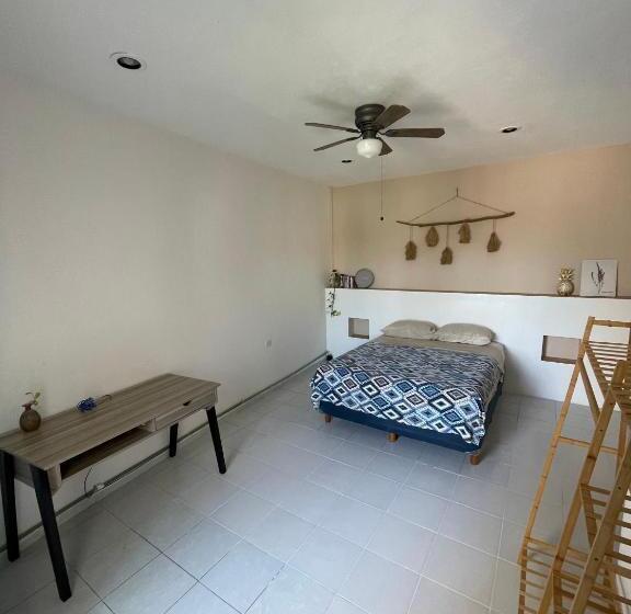 هاستل Hostal Cuca Macuca