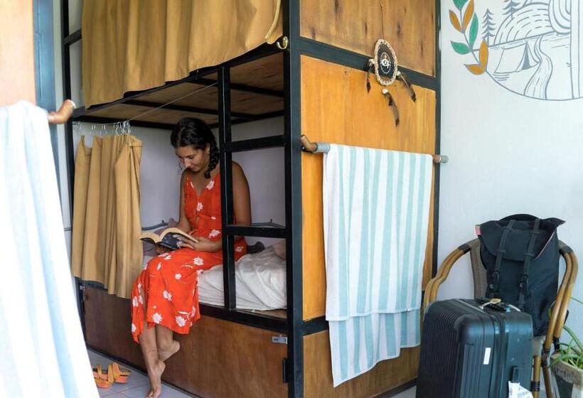 هاستل Hostal Cuca Macuca