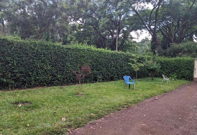 ユースホステル Jacaranda Homestay