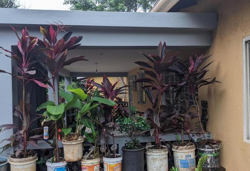 ユースホステル Jacaranda Homestay