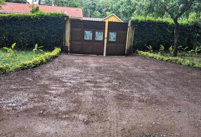 ユースホステル Jacaranda Homestay