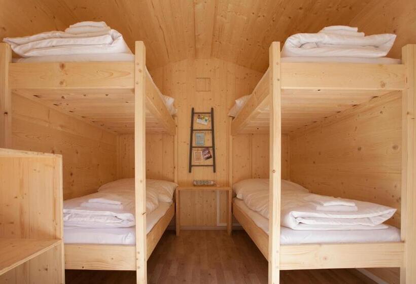 Общежитие Life Camp