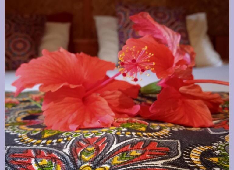 تختخواب و صبحانه At Home