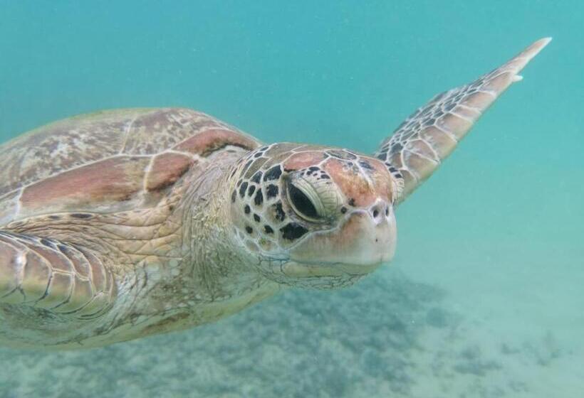 민박 E Seven House