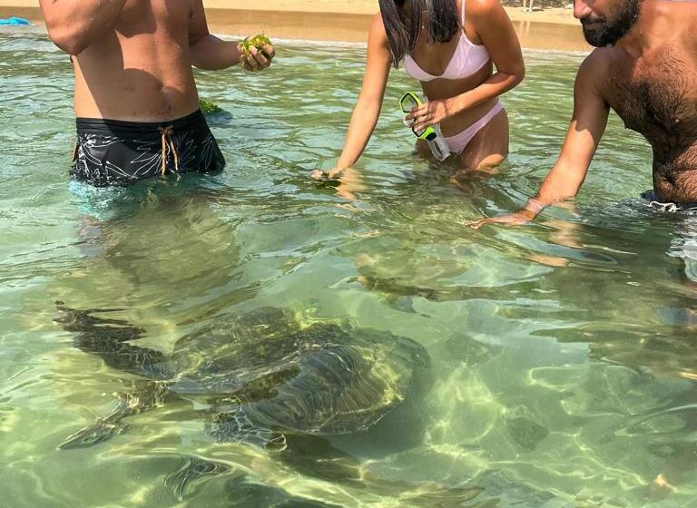 민박 E Seven House