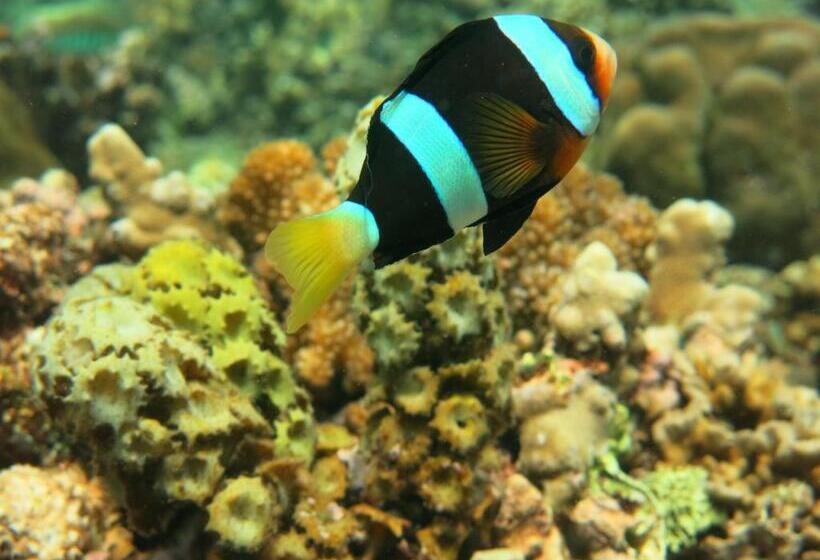 צימר Kubu Sari Guest House