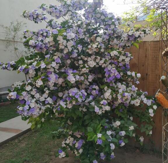 Departamentos Centro