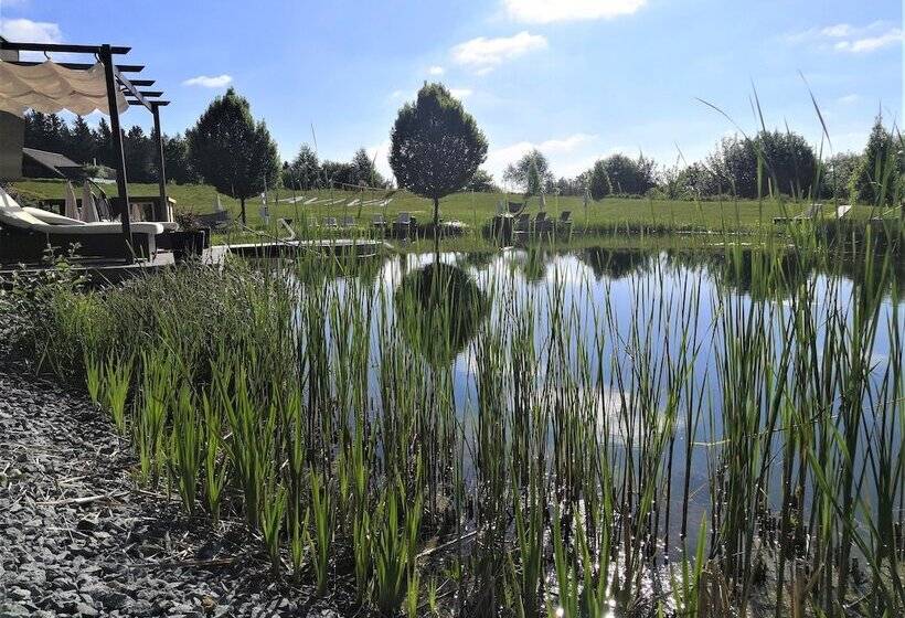 酒店 Aviva   Für Singles & Alleinreisende