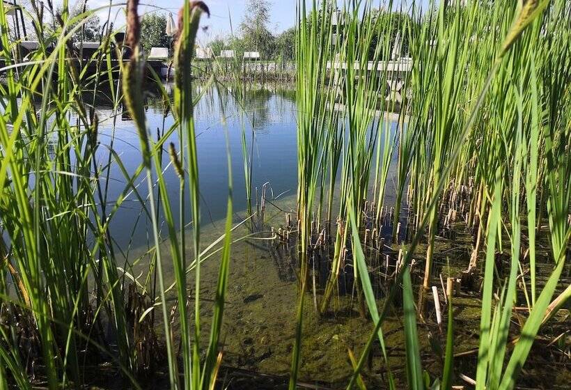 ホテル Aviva   Für Singles & Alleinreisende