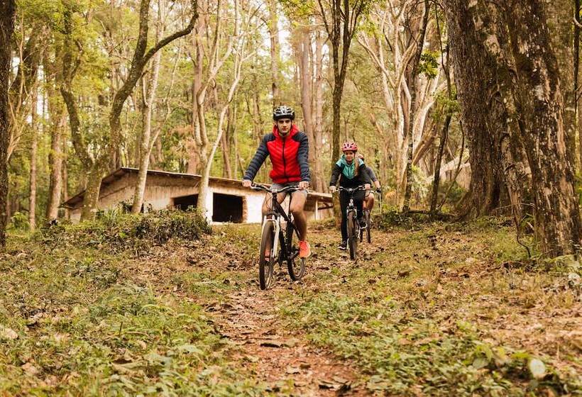 ホテル Aviva   Für Singles & Alleinreisende