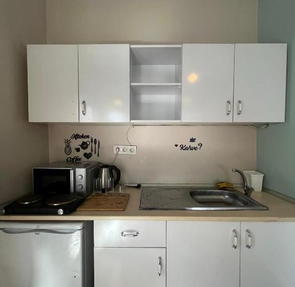 ホテル Cinar Apart